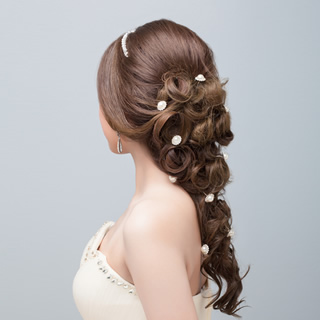 Bridal Hair Jewels and Accessories